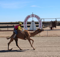 Bedourie Camel and Pig Races and Camp oven Cook-off - Whitsundays Accommodation