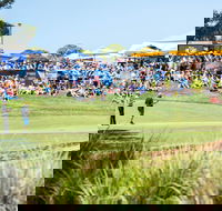 Blitz Golf Adelaide - Whitsundays Accommodation