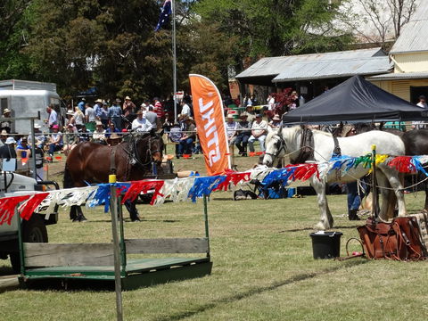 Carcoar Show - Whitsundays Accommodation 0