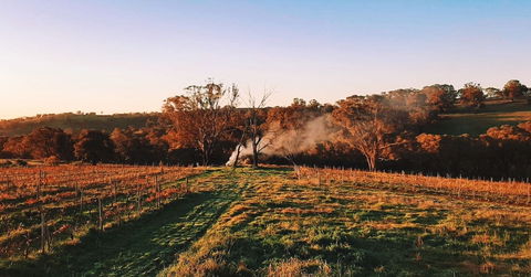 Cargo Road Wines Grande Fiamma - Whitsundays Accommodation 0