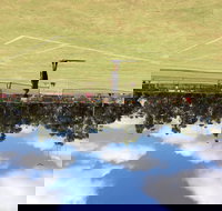 Charlton Lawn Tennis Club Annual Tournament - Whitsundays Accommodation