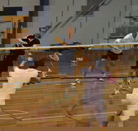 Charlton Badminton Club Ladies Tournament - Whitsundays Accommodation