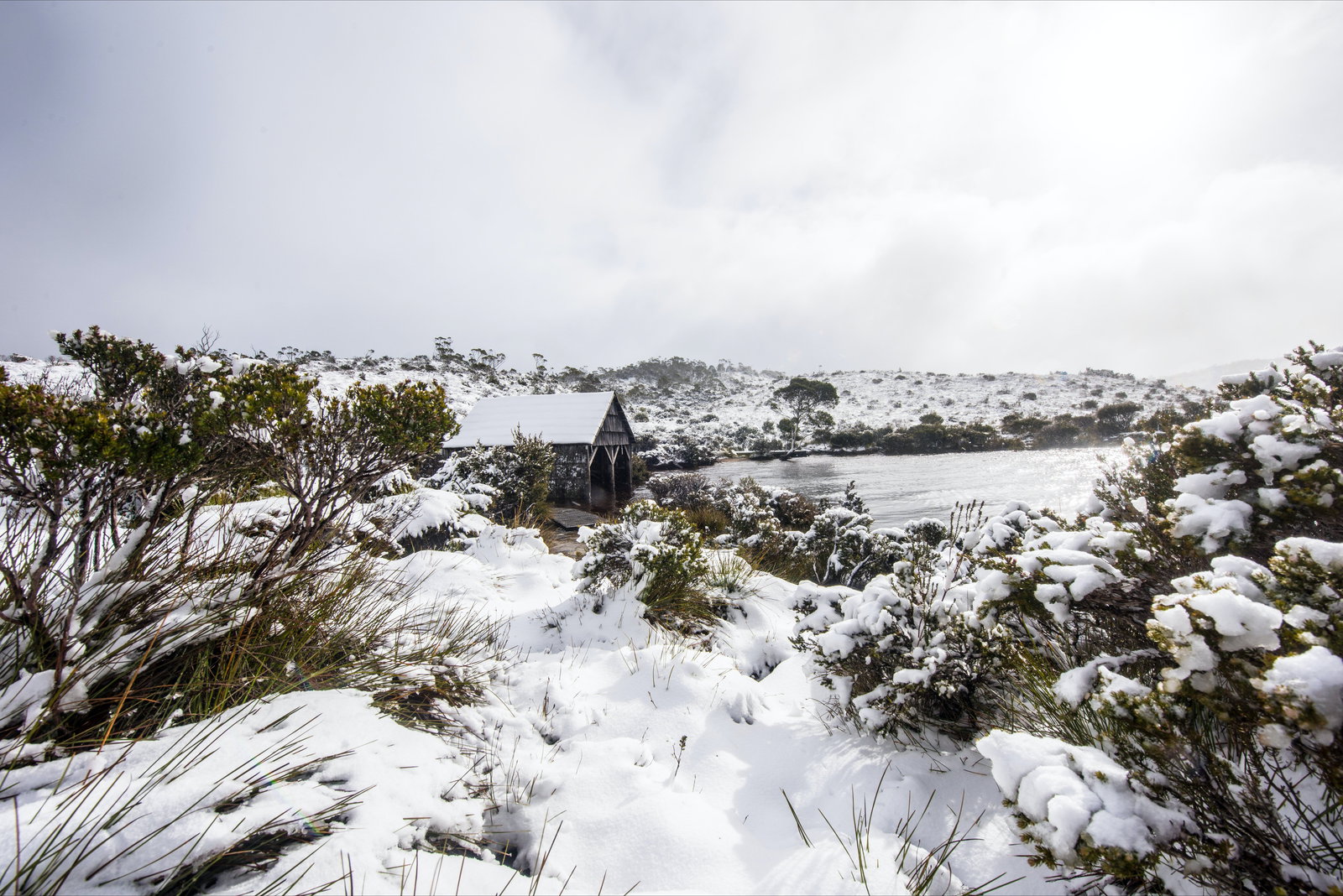Cradle Mountain TAS Whitsundays Accommodation