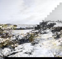 Christmas in July at Cradle Mountain Hotel 2020 - Whitsundays Accommodation