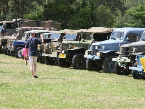 Clarence Town Swim In And Rally - Whitsundays Accommodation 1