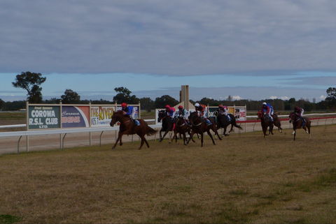 Corowa Horseraces - Whitsundays Accommodation 0
