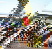 De Bortoli Wines Golden Rose Day - Whitsundays Accommodation