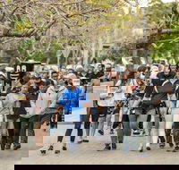 Diabetes Australia Walk to Work Day-Sydney - Whitsundays Accommodation