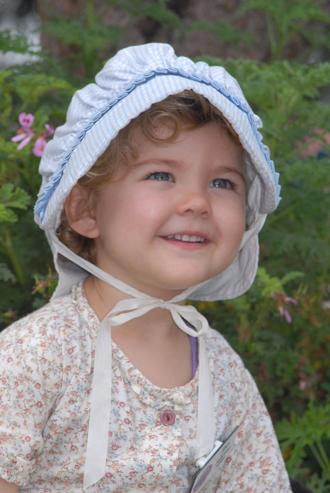 Festival Of The Big Cow - Whitsundays Accommodation 1