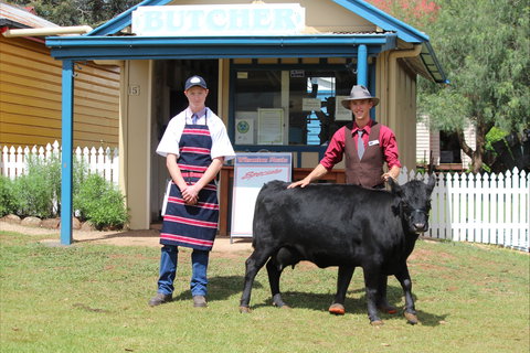 Festival Of The Big Cow - Whitsundays Accommodation 2