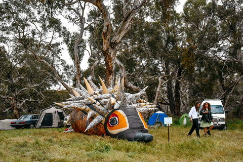 Field Good Festival - Whitsundays Accommodation 2