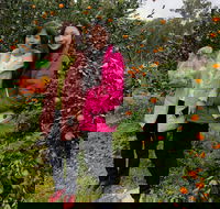 Fruit Taste Adventure Tours - Whitsundays Accommodation