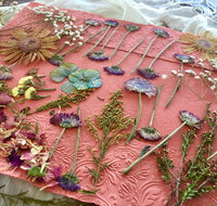 Introduction to Paper Making - Whitsundays Accommodation
