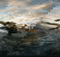 IRONMAN 70.3 Western Australia - Whitsundays Accommodation