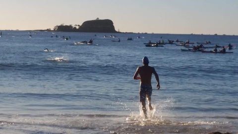 Island Charity Swim - Whitsundays Accommodation 1