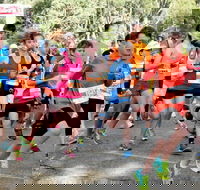 MAAS Group Dubbo Stampede Running Festival - Whitsundays Accommodation
