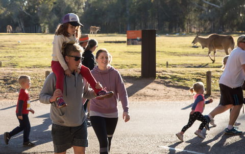 MAAS Group Dubbo Stampede Running Festival - Whitsundays Accommodation 1