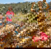 Mini Muddies Obstacle Challenge at Bunnamagoo Estate - Whitsundays Accommodation