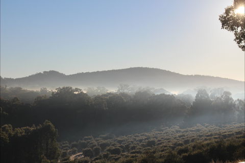 Mudgeeque - Whitsundays Accommodation 0