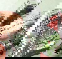 Online live streaming class Make Your Own Terrarium - Whitsundays Accommodation
