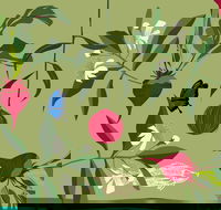 Oseanica Culinary Art - Whitsundays Accommodation