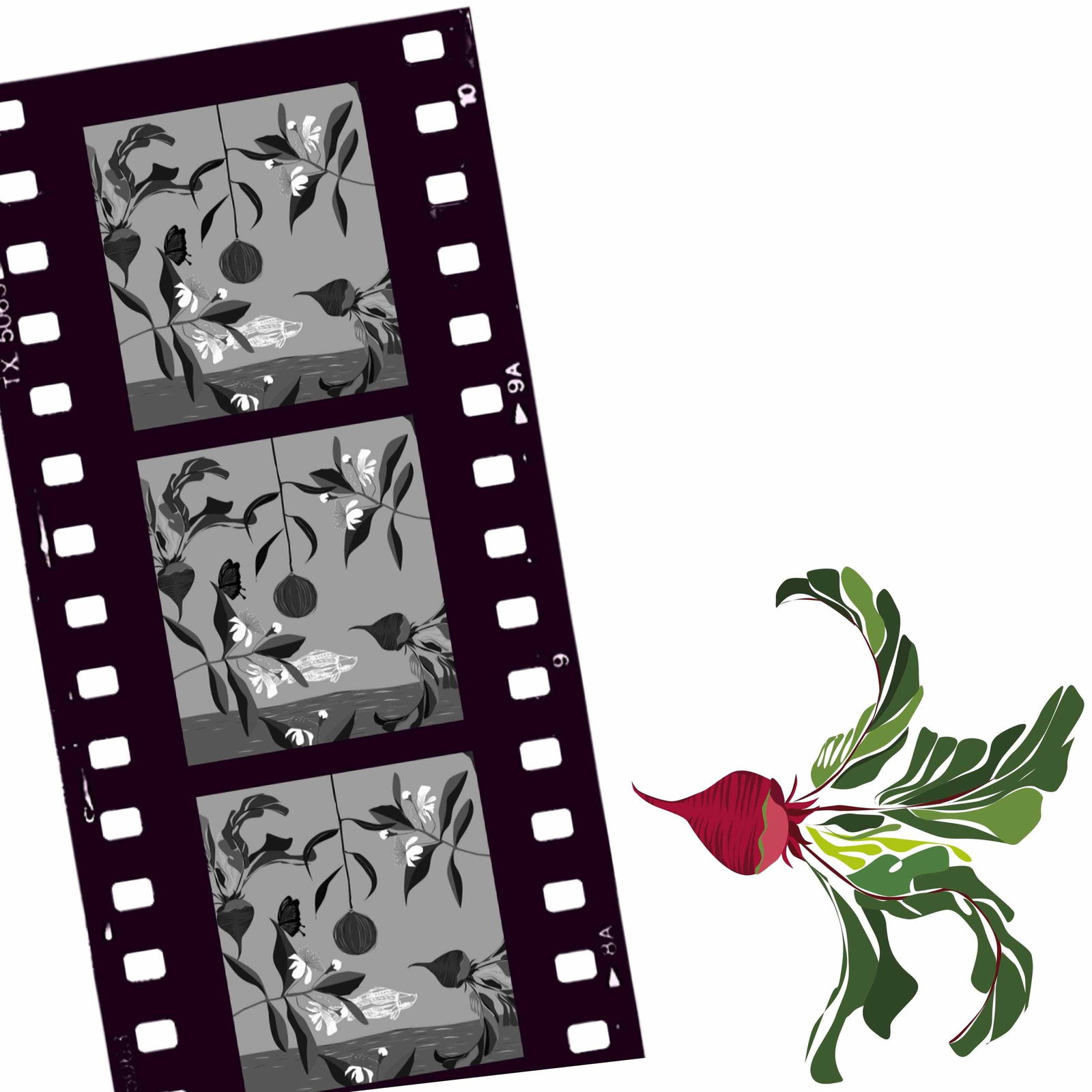 Cairns North QLD Whitsundays Accommodation