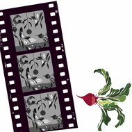 Cairns Entertainment Venues Whitsundays Accommodation Whitsundays Accommodation