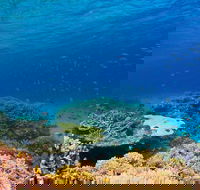 Recovery of the Great Barrier Reef - Whitsundays Accommodation