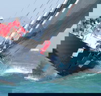 SeaLink Magnetic Island Race Week - Whitsundays Accommodation