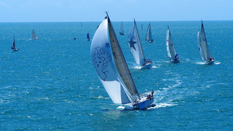 SeaLink Magnetic Island Race Week - Whitsundays Accommodation 2