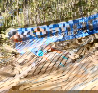 Shimano Mountain Bike Grand Prix Race Eight Ourimbah - Whitsundays Accommodation