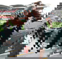 Stadium Stomp Adelaide Oval - Postponed - Whitsundays Accommodation