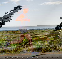 SunSmart Busselton Festival of Triathlon - Whitsundays Accommodation