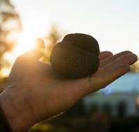 The Truffle Festival - Canberra Region - Whitsundays Accommodation