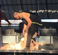 The Shearers  Shindig Thargomindah - Whitsundays Accommodation