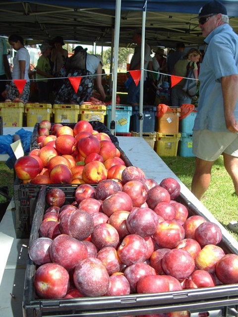 The Farmers Market On Manning - Whitsundays Accommodation 0