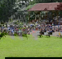 Tumut Boxing Day Races - Whitsundays Accommodation
