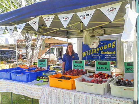 Young And Region Farmers Markets - Whitsundays Accommodation 1