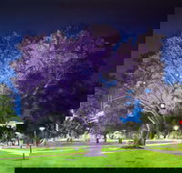 Adelaide Parklands Art Prize  Finalists Exhibition  Sale 2020 - Whitsundays Accommodation