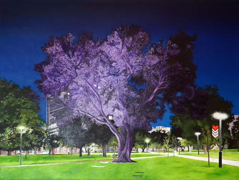 Adelaide Parklands Art Prize  Finalists Exhibition & Sale 2020 - Whitsundays Accommodation 0