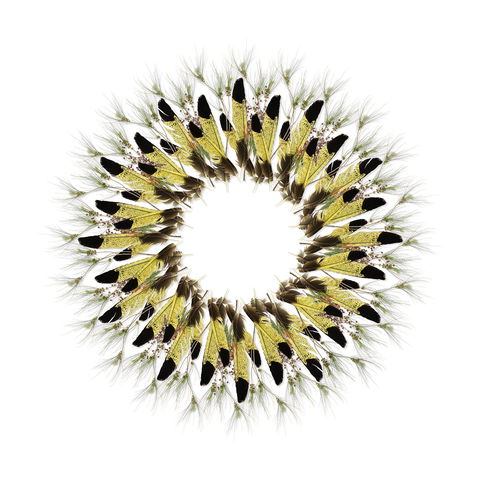 Adelaide Parklands Art Prize  Finalists Exhibition & Sale 2020 - Whitsundays Accommodation 1