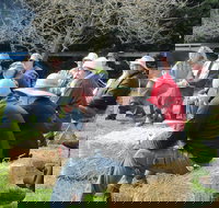 All Season Cold Climate Organic Vegetable Growing - Whitsundays Accommodation