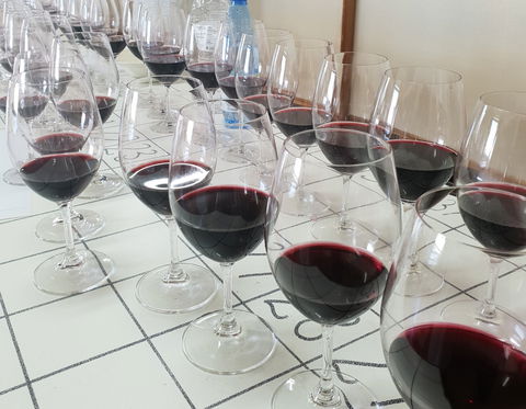 Australian Cool Climate Wine Show - Whitsundays Accommodation 1