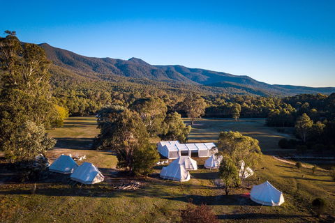 A Wild Night Out - Spring - Whitsundays Accommodation 5