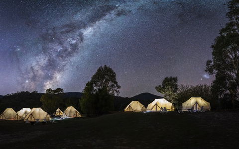 A Wild Night Out - Spring - Whitsundays Accommodation 6