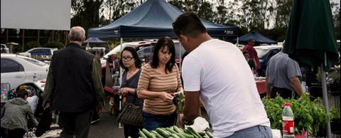 Blacktown Markets - Whitsundays Accommodation 0