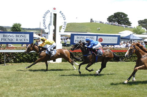 Bong Bong Picnic Races - Whitsundays Accommodation 0