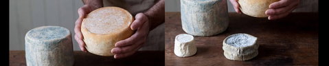 Cheese Making Basics Class - Whitsundays Accommodation 0