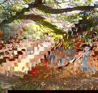 Cooktown and Cape York Expo 2021 - Whitsundays Accommodation