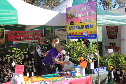 CRT FarmFest - Whitsundays Accommodation 2